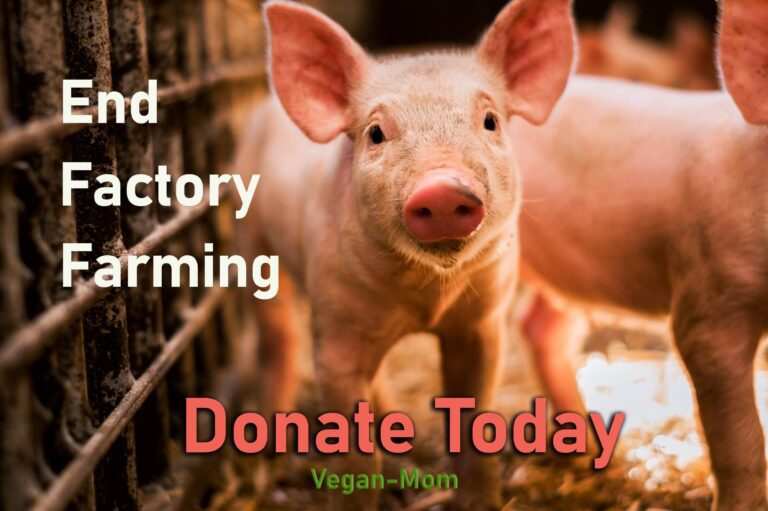 End Factory Farming - Donate Today