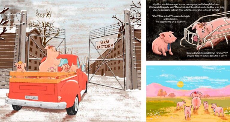 Mama pig and her babies illustrations
