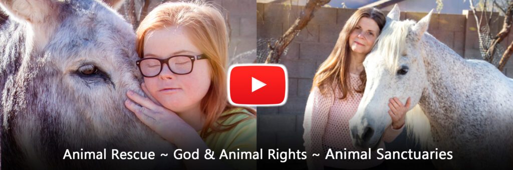 Video Section - Animal Rescue and Animal Sanctuaries