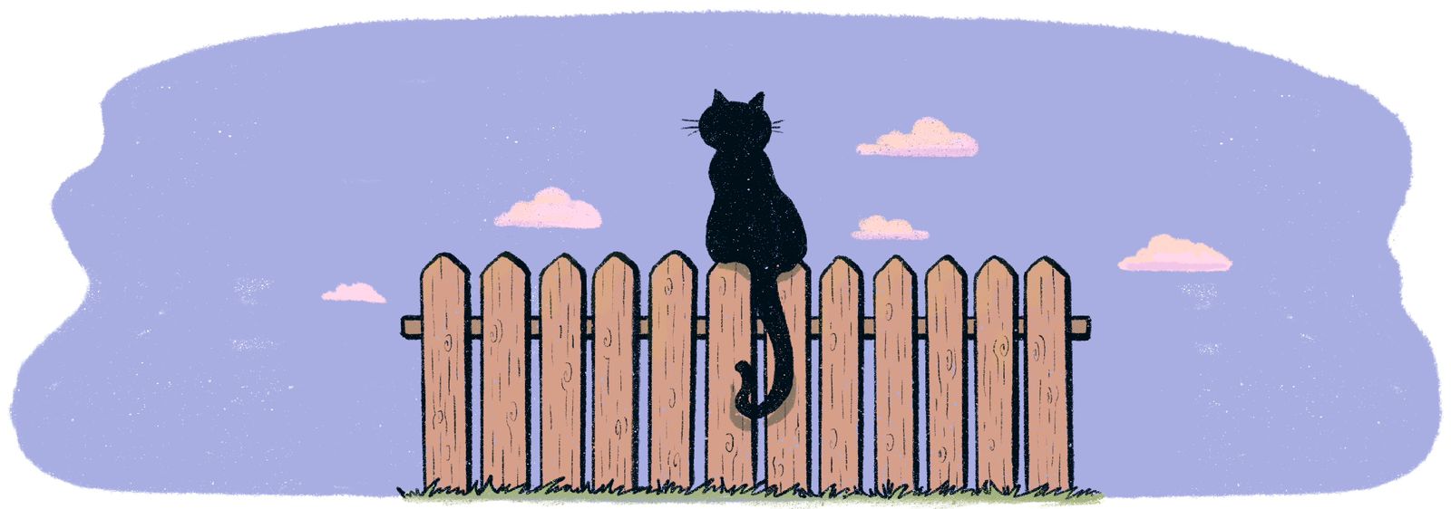 Cat on a fence